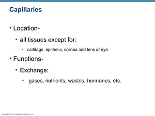 Capillaries
• Location• all tissues except for:
• cartilage, epithelia, cornea and lens of eye

• Functions• Exchange:
• gases, nutrients, wastes, hormones, etc.

Copyright © 2011 Pearson Education, Inc.

 