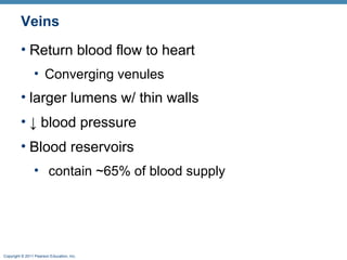 Veins
• Return blood flow to heart
• Converging venules

• larger lumens w/ thin walls
• ↓ blood pressure
• Blood reservoirs
• contain ~65% of blood supply

Copyright © 2011 Pearson Education, Inc.

 