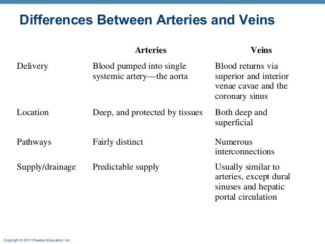 What is the difference between arterial and venous blood?