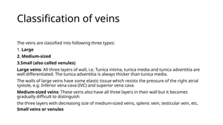 Veines Classification Ppts about veins in detail with diagrams | PPTX