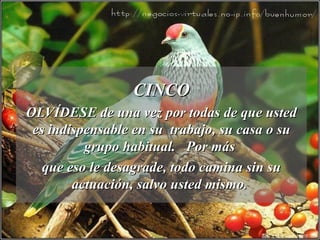 CINCO OLVÍDESE de una vez por todas de que usted es indispensable en su  trabajo, su casa o su grupo habitual.  Por más  que eso le desagrade, todo camina sin su actuación, salvo usted mismo.  