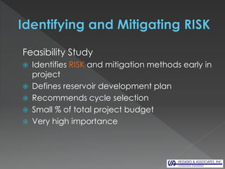 Project Management: Minimizing Risk and Maximizing Project Success | PDF