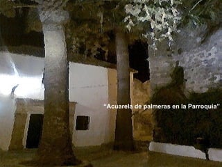 “ Acuarela de palmeras en la Parroquia” 