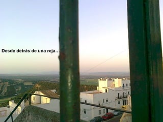 Desde detrás de una reja… 