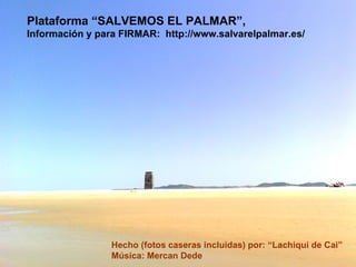 Plataforma “SALVEMOS EL PALMAR”,  Información y para FIRMAR:  http://www.salvarelpalmar.es/ Hecho (fotos caseras incluidas) por: “Lachiqui de Cai”  Música: Mercan Dede 