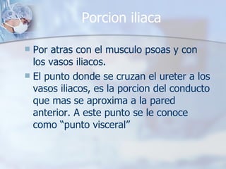 Porcion iliaca Por atras con el musculo psoas y con los vasos iliacos. El punto donde se cruzan el ureter a los vasos iliacos, es la porcion del conducto que mas se aproxima a la pared anterior. A este punto se le conoce como “punto visceral” 