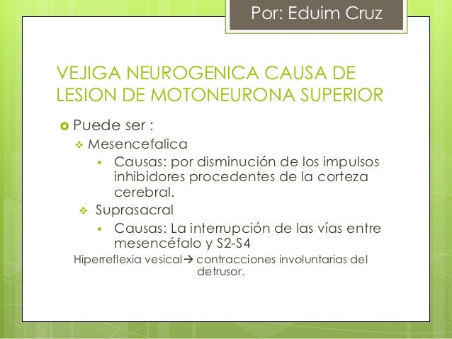 Vejiga Neurogenica - 