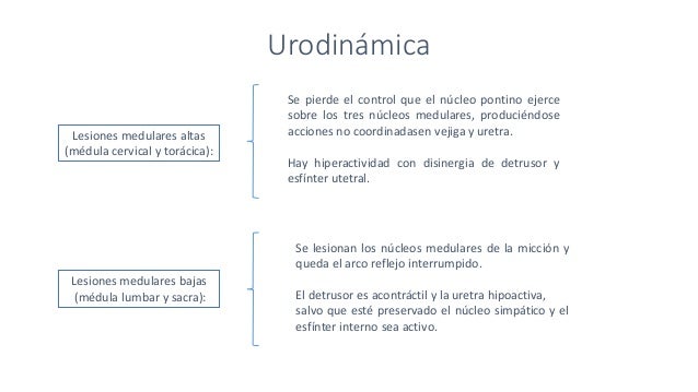 Vejiga neurogenica Vejiga neurogenica