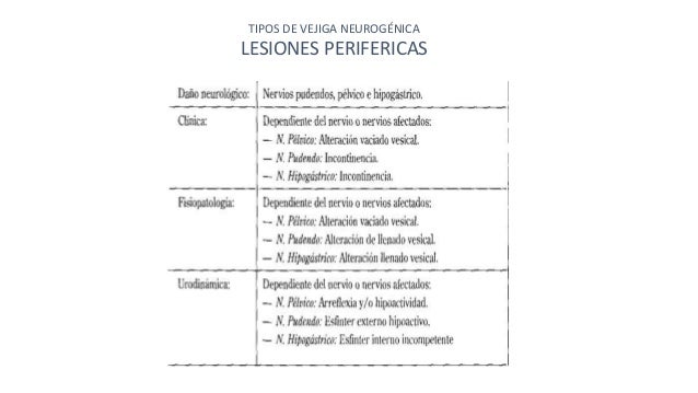 Vejiga neurogenica Vejiga neurogenica
