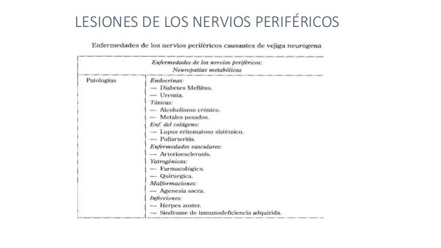 Vejiga neurogenica Vejiga neurogenica
