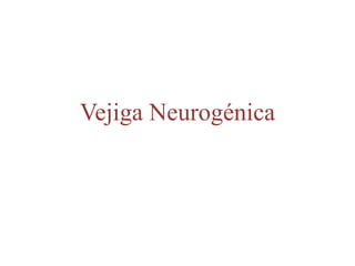 Vejiga Neurogénica
 