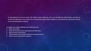 • el mecanismo no es una lesión del núcleo motor detrusor sino una pérdida de información sensitiva al
núcleo del detrusor o un cambio en el comportamiento motor debido a una pérdida de neurotransmisión
en el asta dorsal de la médula.
La vejiga neuropática flácida está tipificada por:
1. Gran capacidad
2. Falta de contracciones voluntarias del detrusor
3. Baja presión intravesical
4. Trabeculación leve (hipertrofia) de la pared vesical
5. Menor tono del esfínter externo.
 