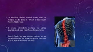 • La distensión crónica excesiva puede dañar el
músculo liso del detrusor y limitar la recuperación
funcional de la vejiga.
• El sondaje intermitente mediante una técnica
aséptica estricta es la mejor forma de tratamiento.
• Evita infección de vías urinarias, además de las
complicaciones de una sonda permanente (estenosis
uretral, absceso, erosiones, cálculos).
 
