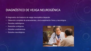 DIAGNÓSTICO DE VEJIGA NEUROGÉNICA
El diagnostico de trastorno de vejiga neuropática depende:
• Obtención completa de antecedentes y de la exploración física y neurológica.
• Estudios radiológicos .
• Eestudios urológicos.
• Estudios urodinámicos.
• Estudios neurológicos.
 