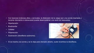 • Con lesiones torácicas altas y cervicales, la distensión de la vejiga (por una sonda insertada o
durante citometría o cistoscopia) puede desencadenar una serie de respuestas:
• Hipertensión
• Bradicardia
• Cefalea
• Piloerección
• Sudoración (disreflexia autónoma).
• Si se inserta una sonda y se le deja para drenado abierto, suele revertirse la disreflexia.
 