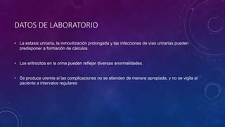 DATOS DE LABORATORIO
• La estasis urinaria, la inmovilización prolongada y las infecciones de vías urinarias pueden
predisponer a formación de cálculos.
• Los eritrocitos en la orina pueden reflejar diversas anormalidades.
• Se produce uremia si las complicaciones no se atienden de manera apropiada, y no se vigila al
paciente a intervalos regulares
 