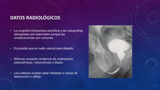 DATOS RADIOLÓGICOS
• La urografía intravenosa periódica y las cistografías
retrogradas son esenciales porque las
complicaciones son comunes.
• Es posible que el cuello vesical este dilatado
• Riñones muestren evidencia de cicatrización
pielonefríticas, hidronefrosis o litiasis
• Los uréteres pueden estar dilatados a causa de
obstrucción o reflujo.
 