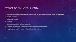 EXPLORACIÓN INSTRUMENTAL
La cistouretroscopia ayuda a evaluar la integridad de la uretra e identificar sitios de estenosis.
Es posible evaluar:
 Capacidad vesical
 Cálculos
 Competencia de los orificios ureterales
 Cambios secundarios a infección crónica o sondas permanentes
 Integridad del cuello vesical y el esfínter uretral externo.
 