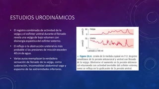 ESTUDIOS URODINÁMICOS
• El registro combinado de actividad de la
vejiga y el esfínter uretral durante el llenado
revela una vejiga de bajo volumen con
disinergiaespásticadel esfínterexterno.
• Elreflujo o la obstrucción ureteral es más
probable si las presiones de micciónexceden
40cmdeagua.
• Varias aurasreemplazan la verdadera
sensación de llenado de la vejiga, como
sudoración, incomodidad abdominal vaga y
espasmo de las extremidades inferiores.
 
