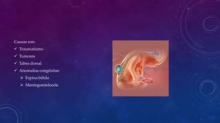 Causas son:
 Traumatismo
 Tumores
 Tabes dorsal
 Anomalías congénitas:
 Espina bífida
 Meningomielocele.
 