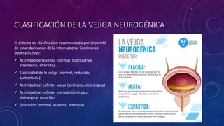 CLASIFICACIÓN DE LA VEJIGA NEUROGÉNICA
El sistema de clasificación recomendado por el comité
de estandarización de la International Continence
Society incluye:
 Actividad de la vejiga (normal, sobreactiva,
arreflexica, alterada)
 Elasticidad de la vejiga (normal, reducida,
aumentada)
 Actividad del esfínter suave (sinérgica, disinérgica)
 Actividad del esfínter estriado (sinérgica,
disinérgica, tono fijo)
 Sensación (normal, ausente, alterada)
 