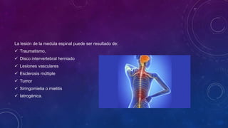 La lesión de la medula espinal puede ser resultado de:
 Traumatismo,
 Disco intervertebral herniado
 Lesiones vasculares
 Esclerosis múltiple
 Tumor
 Siringomielia o mielitis
 Iatrogénica.
 
