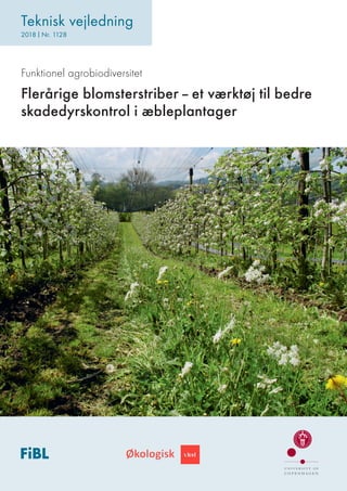 Funktionel agrobiodiversitet
Flerårige blomsterstriber – et værktøj til bedre
skadedyrskontrol i æbleplantager
Teknisk vejledning
2018 | Nr. 1128
 