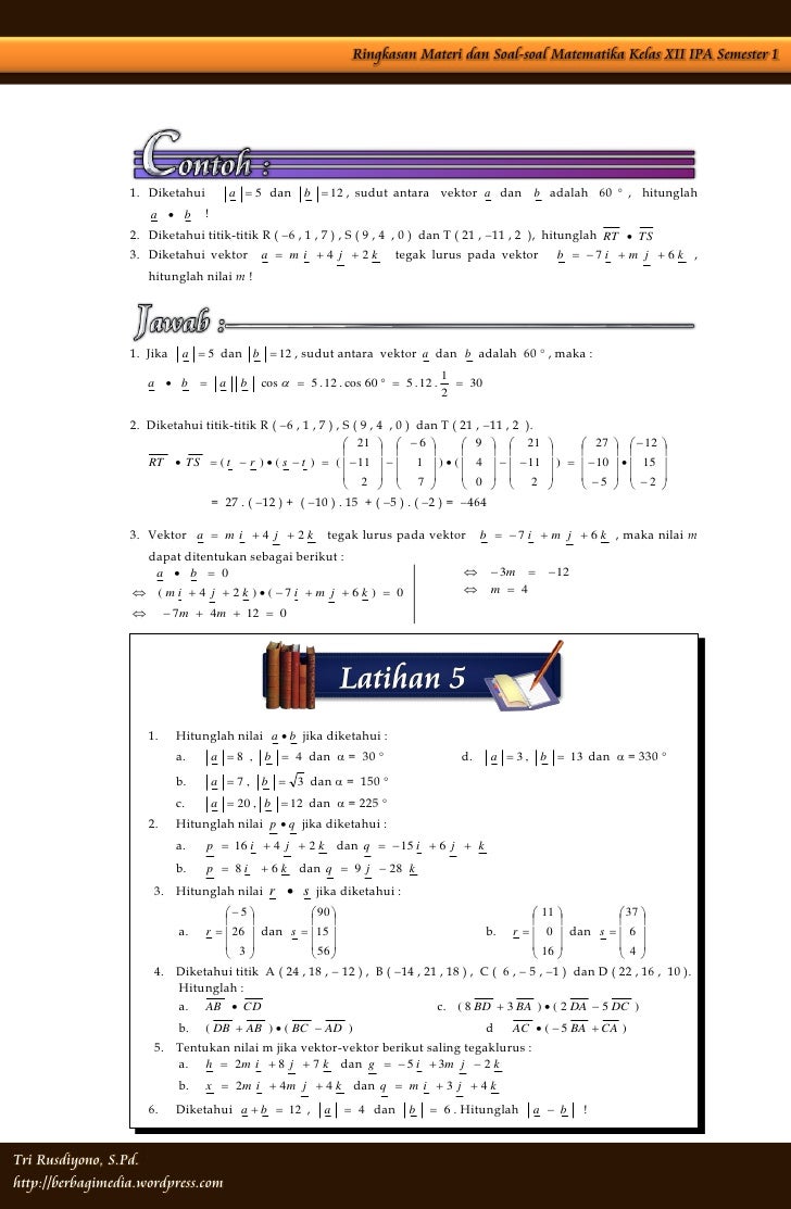 Vektor