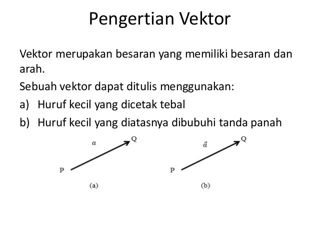 Apa Yang Dimaksud Dengan Gambar Vektor - Tempat Berbagi Gambar