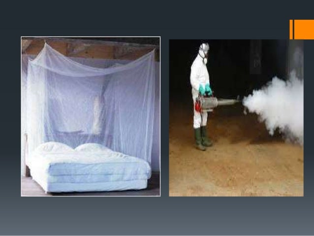 Vektor penyakit virus, riketsia, dan bakteri