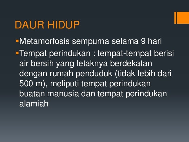 Vektor penyakit virus riketsia dan bakteri Vektor penyakit virus riketsia dan bakteri