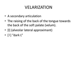 VELARIZATION
• A secondary articulation
• The raising of the back of the tongue towards
the back of the soft palate (velum).
• [l] (alveolar lateral approximant)
• [ɫ] “dark L”

 