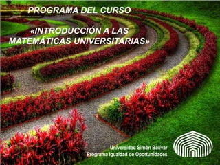 PROGRAMA DEL CURSO

    «INTRODUCCIÓN A LAS
MATEMÁTICAS UNIVERSITARIAS»




                        Universidad Simón Bolívar
              Programa Igualdad de Oportunidades
 