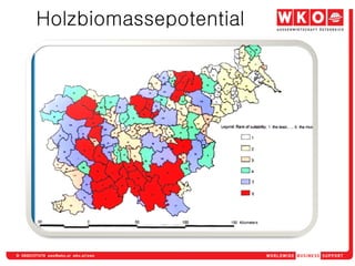 Holzbiomassepotential
 