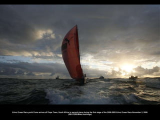 Volvo Ocean Race yacht Puma arrives off Cape Town, South Africa in second place during the first stage of the 2008-2009 Volvo Ocean Race November 2, 2008. (REUTERS/Mike Hutchings) 