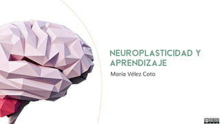 Neuroplasticidad y
aprendizaje
María Vélez Coto
 