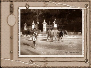 1918 - Largo da Estrela
 