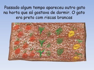 Velhinha Que Tinha Uma Horta