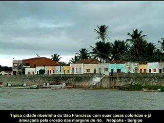 Típica cidade ribeirinha do São Francisco com suas casas coloridas e já
     ameaçada pela erosão das margens do rio. Neópolis - Sergipe
 