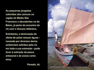 As pequenas jangadas
coloridas são comuns na
região do Médio São
Francisco e abundantes na do
Baixo, já perto do encontro do
rio com o Oceano Atlântico.

Entretanto, a diminuição da
oferta de peixe nessas águas -
causada por diversos danos
ambientais sofridos pelo rio
em toda a sua extensão - pode
levar à extinção da pesca
artesanal e de cenas como
essa.

                   Penedo, AL
 