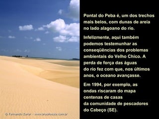 Pontal do Peba é, um dos trechos
mais belos, com dunas de areia
no lado alagoano do rio.

Infelizmente, aqui também
podemos testemunhar as
conseqüências dos problemas
ambientais do Velho Chico. A
perda de força das águas
do rio fez com que, nos últimos
anos, o oceano avançasse.

Em 1994, por exemplo, as
ondas riscaram do mapa
centenas de casas
da comunidade de pescadores
do Cabeço (SE).
 