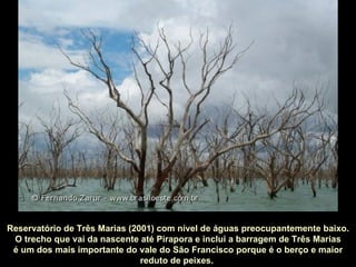 Reservatório de Três Marias (2001) com nível de águas preocupantemente baixo.
 O trecho que vai da nascente até Pirapora e inclui a barragem de Três Marias
 é um dos mais importante do vale do São Francisco porque é o berço e maior
                               reduto de peixes.
 