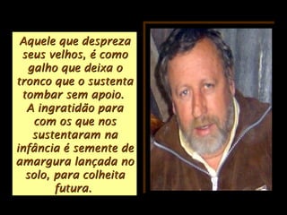 Aquele que desprezaAquele que despreza
seus velhos, é comoseus velhos, é como
galho que deixa ogalho que deixa o
tronco que o sustentatronco que o sustenta
tombar sem apoio.tombar sem apoio.
A ingratidão paraA ingratidão para
com os que noscom os que nos
sustentaram nasustentaram na
infância é semente deinfância é semente de
amargura lançada noamargura lançada no
solo, para colheitasolo, para colheita
futura.futura.
 
