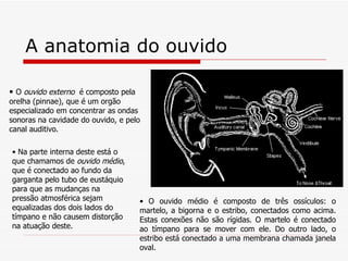 A anatomia do ouvido   O  ouvido externo  é composto pela orelha (pinnae), que é um orgão especializado em concentrar as ondas sonoras na cavidade do ouvido, e pelo canal auditivo.  Na parte interna deste está o que chamamos de  ouvido médio , que é conectado ao fundo da garganta pelo tubo de eustáquio para que as mudanças na pressão atmosférica sejam equalizadas dos dois lados do tímpano e não causem distorção na atuação deste.  O ouvido médio é composto de três ossículos: o martelo, a bigorna e o estribo, conectados como acima. Estas conexões não são rígidas. O martelo é conectado ao tímpano para se mover com ele. Do outro lado, o estribo está conectado a uma membrana chamada janela oval. 