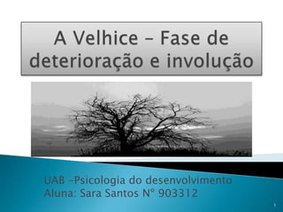 A Velhice – Fase de deterioração e involução UAB -Psicologia do desenvolvimento Aluna: Sara Santos Nº 903312 1 