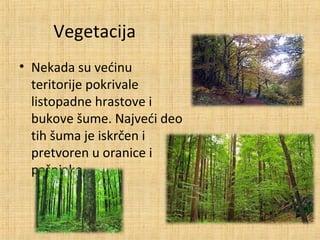 Vegetacija
• Nekada su većinu
teritorije pokrivale
listopadne hrastove i
bukove šume. Najveći deo
tih šuma je iskrčen i
pretvoren u oranice i
pašnjake.
 