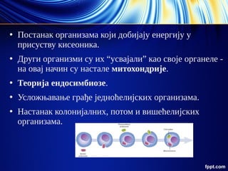 ●
Постанак организама који добијају енергију у
присуству кисеоника.
●
Други организми су их “усвајали” као своје органеле -
на овај начин су настале митохондрије.
●
Теорија ендосимбиозе.
●
Усложњавање грађе једноћелијских организама.
●
Настанак колонијалних, потом и вишећелијских
организама.
 