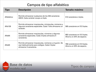 Velneo: Base de datos modelo real - Tipos de campos