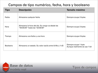 Velneo: Base de datos modelo real - Tipos de campos