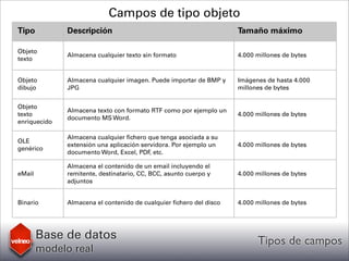 Velneo: Base de datos modelo real - Tipos de campos